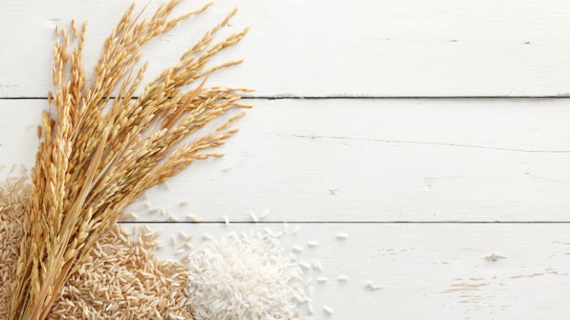Giá lúa gạo trong nước hôm nay 16/5/2025