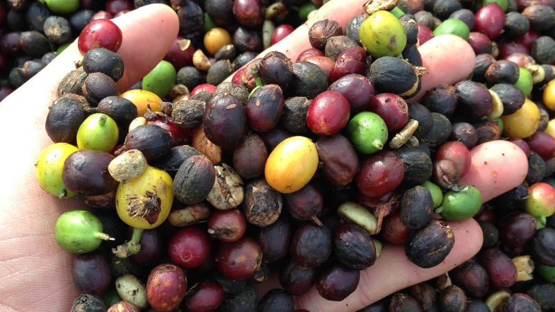 Giá cà phê thế giới