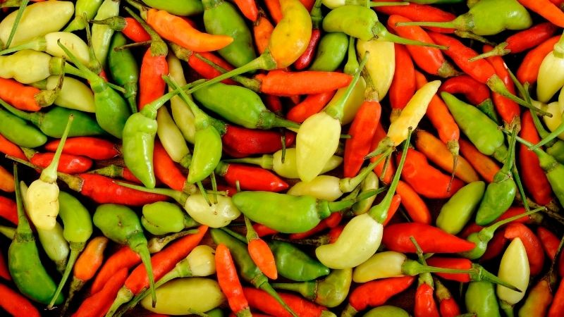 Tình hình thị trường và yếu tố ảnh hưởng Tình hình thị trường và yếu tố ảnh hưởng
