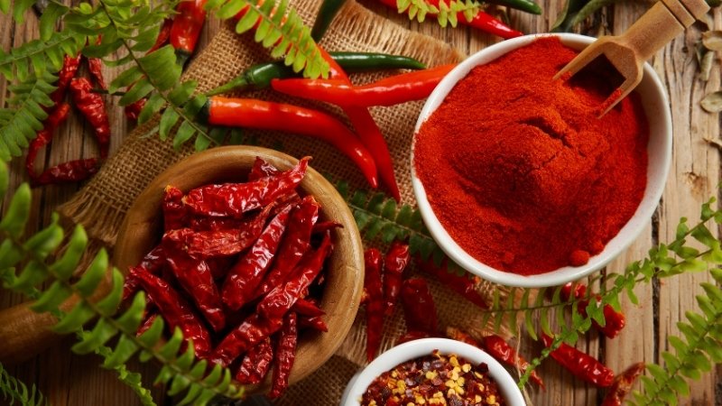 Giá ớt hôm nay 16/05/2025 trong nước Giá ớt hôm nay 16/05/2025 trong nước