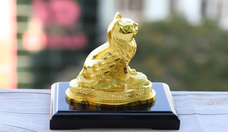 Xem tử vi tuổi Mão 1987 năm 2025 nam mạng chi tiết