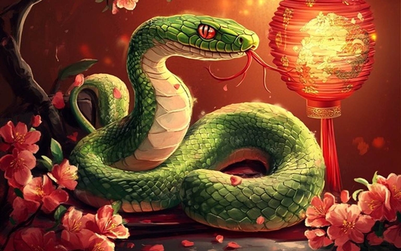 Phân tích chi tiết tử vi tuổi Kỷ Tỵ năm 2025 nam mạng