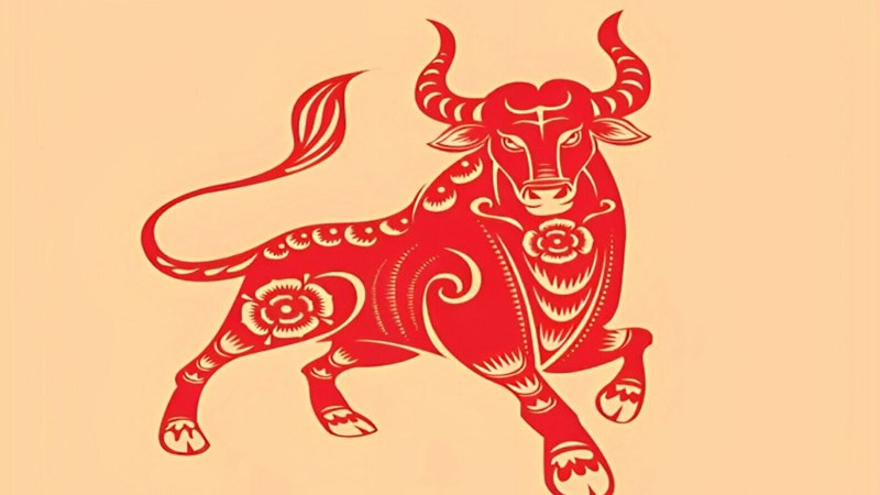 Tổng quan tử vi tuổi Ất Sửu năm 2025 nữ mạng