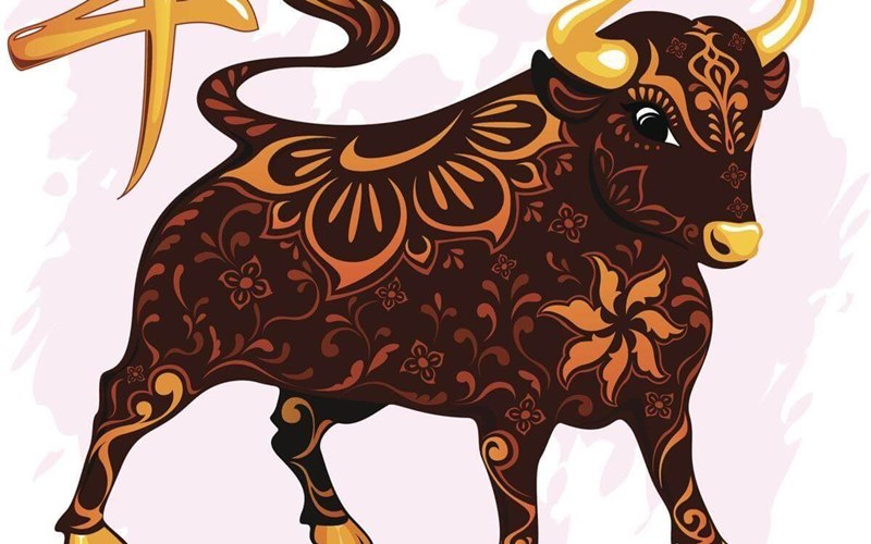 Phân tích chi tiết tử vi tuổi Ất Sửu năm 2025 nữ mạng