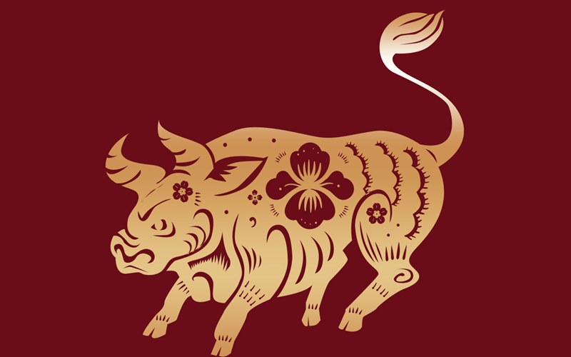 Phong thủy may mắn nữ mạng Ất Sửu 1985