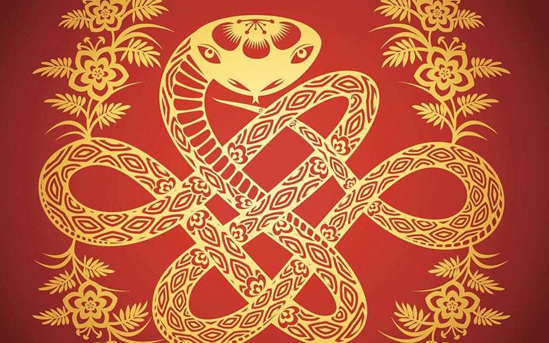 Tử vi tuổi Tỵ ngày 17/05/2025