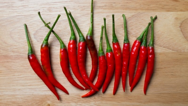 Dự báo và nhận định Dự báo và nhận định