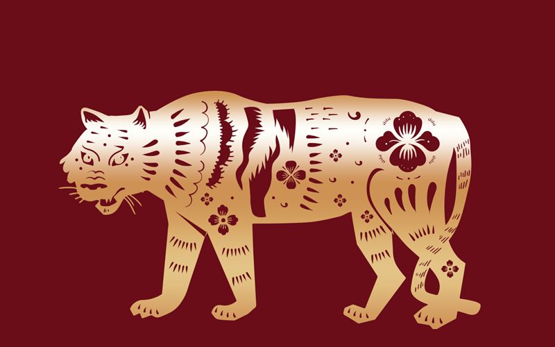 Sự nghiệp tuổi Bính Dần năm 2025 nữ mạng Sự nghiệp tuổi Bính Dần năm 2025 nữ mạng