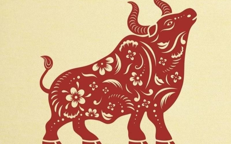 Tổng quan tử vi tuổi Ất Sửu năm 2025 nam mạng