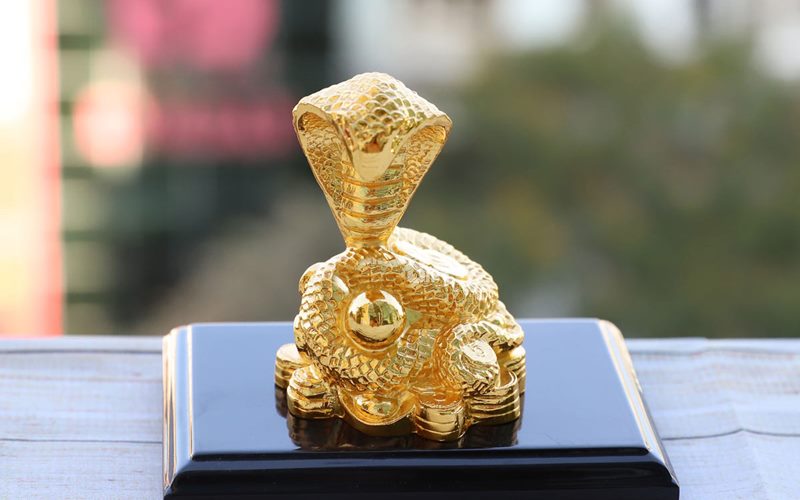 Phong thủy may mắn nữ mạng Kỷ Tỵ 1989 Phong thủy may mắn nữ mạng Kỷ Tỵ 1989