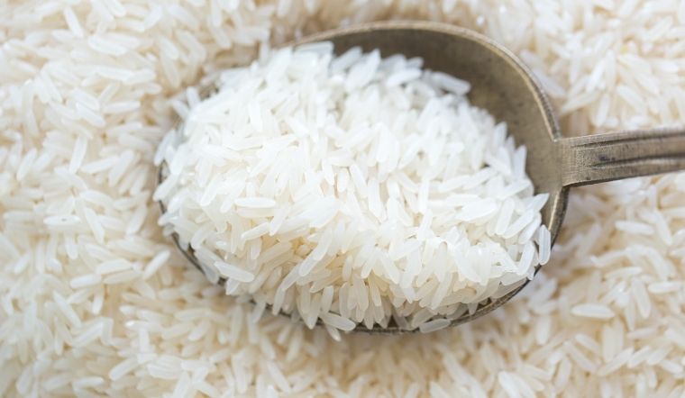 Giá lúa gạo hôm nay 20/5/2025: Lúa tươi tăng giảm trái chiều