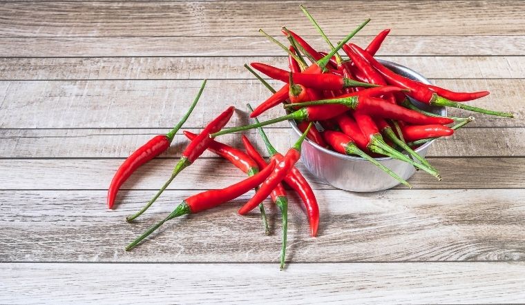 Giá ớt hôm nay 20/05/2025: Ớt chỉ thiên tăng nhẹ
