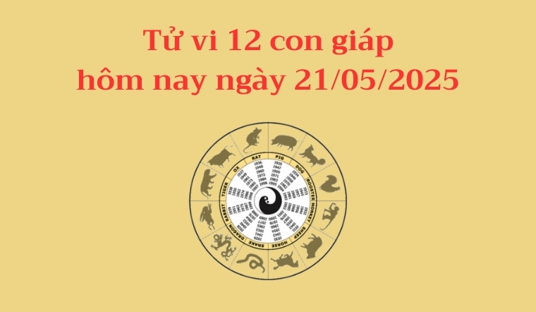 Tử vi 12 con giáp hôm nay 21/05/2025: Mùi quý nhân phù trợ, Hợi tình cảm tốt