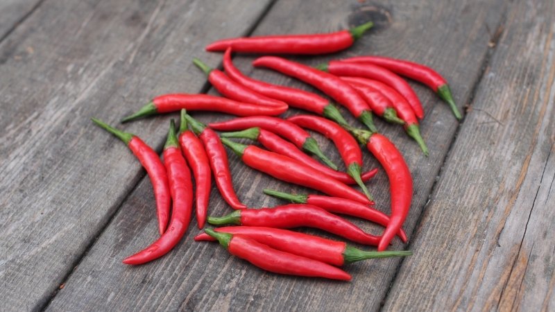 Dự báo và nhận định