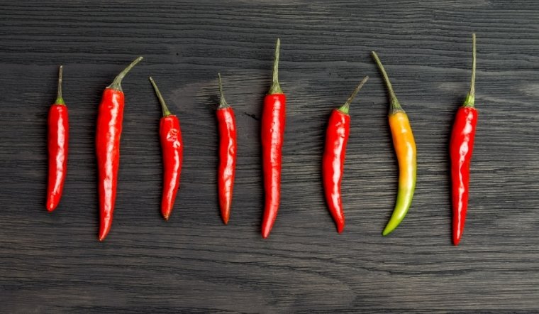 Giá ớt hôm nay 22/05/2025: Ớt chỉ thiên biến động