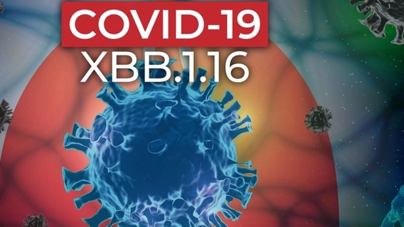 Diễn biến dịch COVID-19 trong năm 2025