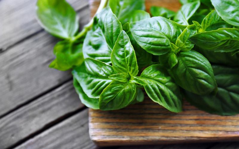 Khả năng chống viêm và giảm đau tự nhiên