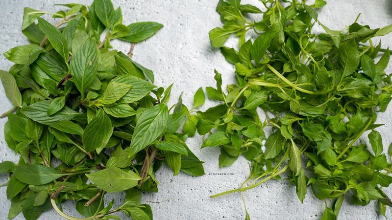 Nguồn dồi dào chất chống oxy hóa