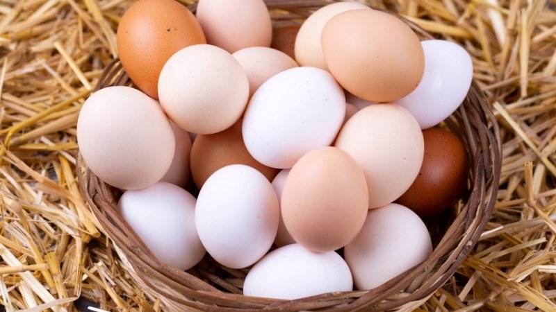 Giá trứng gà hôm nay 28/05 Giá trứng gà hôm nay 28/05