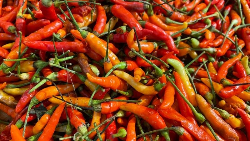 Dự báo và nhận định Dự báo và nhận định