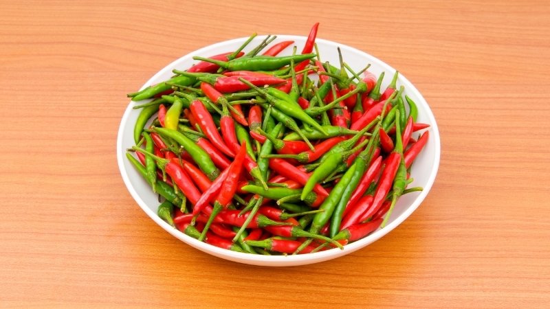 Dự báo và nhận định Dự báo và nhận định