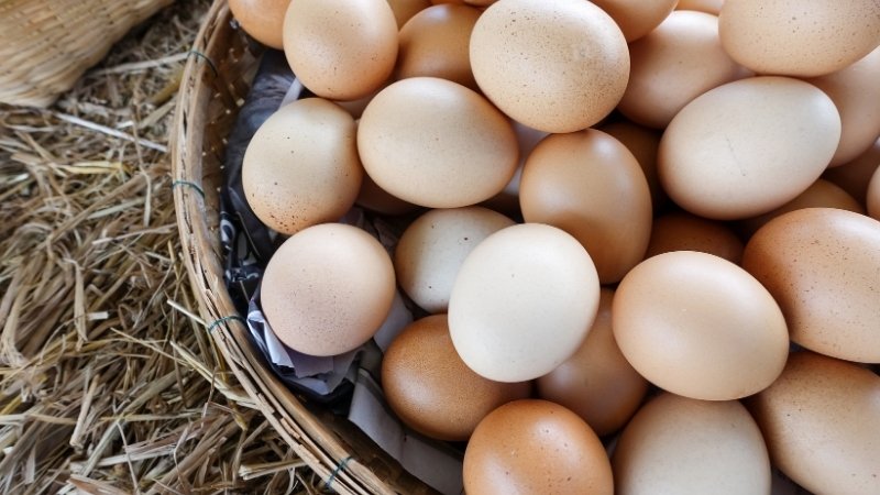 Giá trứng gà hôm nay 31/05 Giá trứng gà hôm nay 31/05