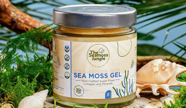 Sea moss gel là gì? Lợi ích và cách sử dụng làm đẹp da