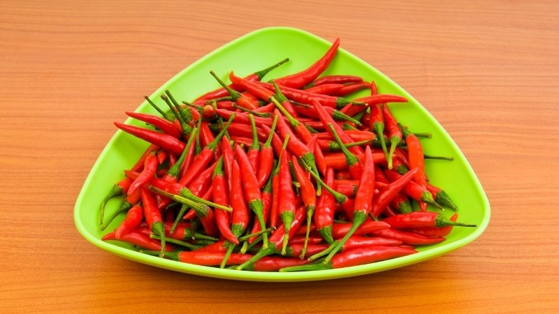 Dự báo và nhận định