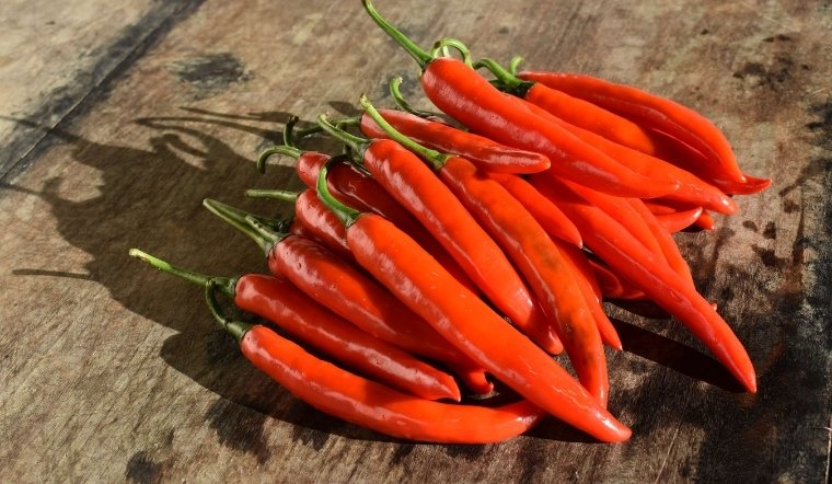 Giá ớt hôm nay 02/06/2025: Ổn định đầu tuần