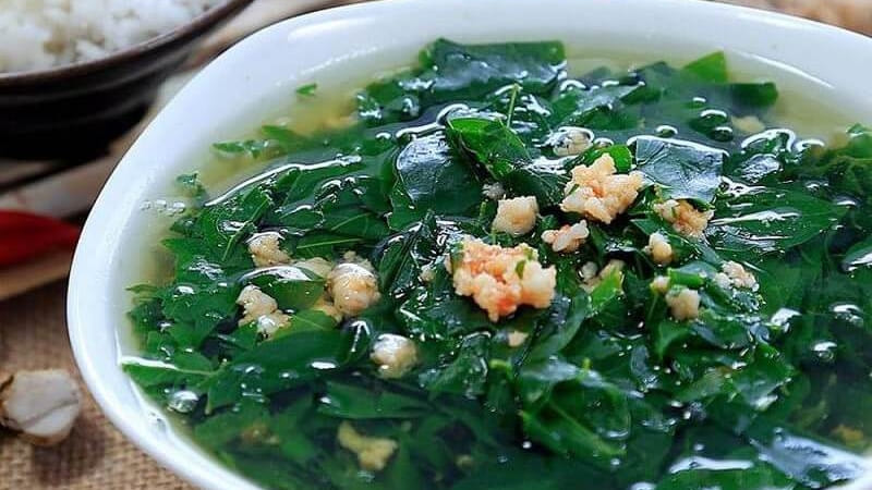 Rau ngót kích thích sữa về, hỗ trợ mẹ nhanh hồi phục sức khỏe