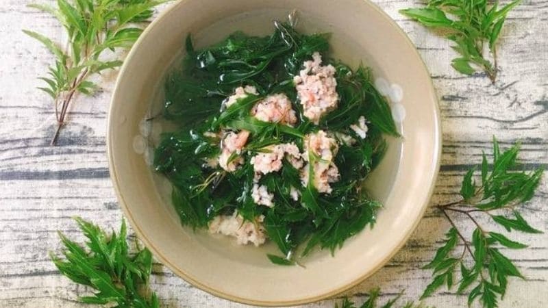 Lá đinh lăng lợi sữa, giảm tắc tia, giúp sữa mẹ thơm ngon hơn