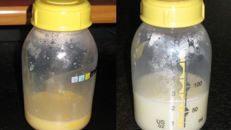 Sữa mẹ đặc chứa nhiều chất béo và protein hỗ trợ phát triển