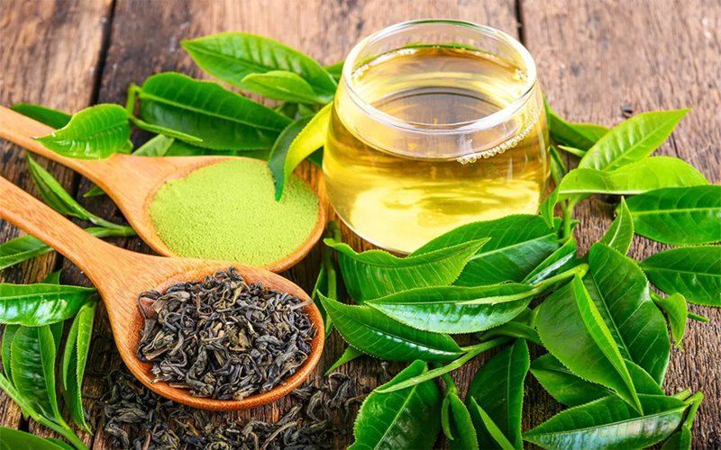 Trà xanh và cơ chế giảm cân