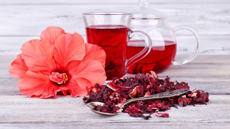 Trà dâm bụt không phù hợp cho mẹ bầu 3 tháng