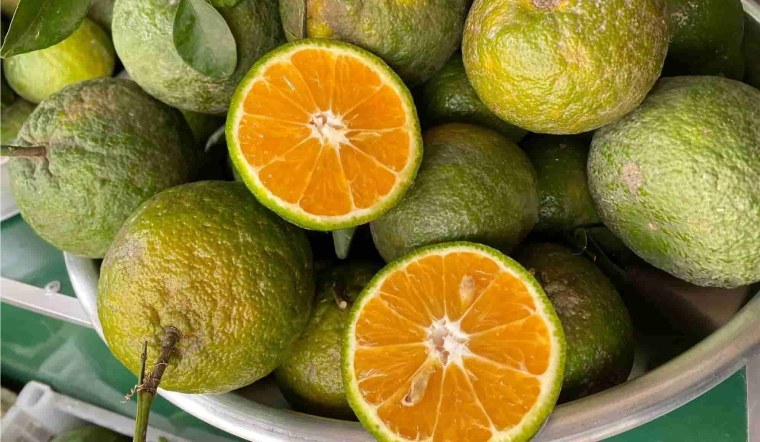 Cam sành có tốt không, cam sành bao nhiêu calo?