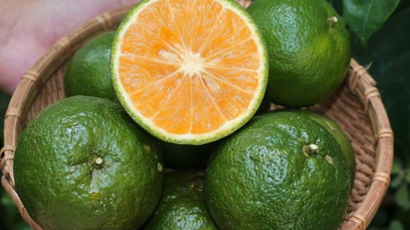 Cam sành cung cấp Vitamin A và các hợp chất carotenoid tốt cho mắt