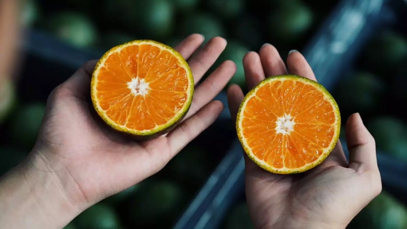 Cam sành chứa lượng vitamin C dồi dào