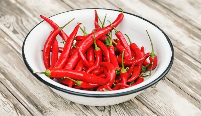 Giá ớt hôm nay 09/06/2025: Ớt sừng vàng, ớt chỉ thiên tăng nhẹ