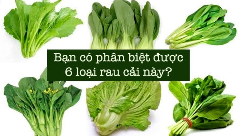 Tổng hợp các loại rau cải phổ biến ở Việt Nam