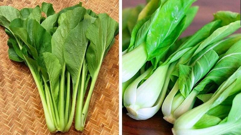 Phân biệt rõ ràng giữa cải ngọt và cải thìa