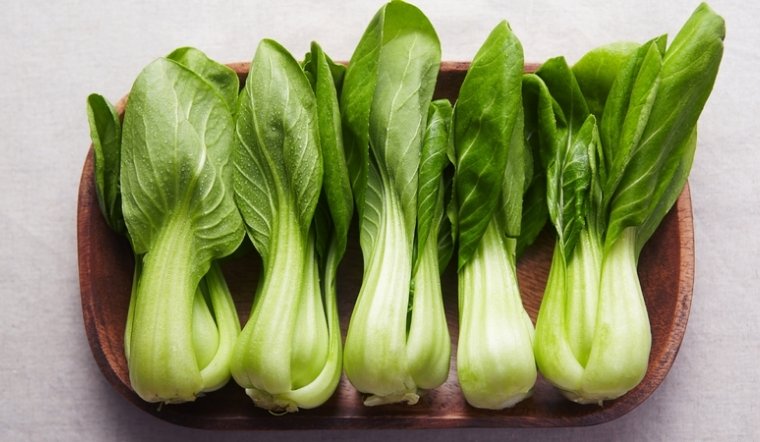 Cách trồng cải thìa thủy canh đơn giản tại nhà