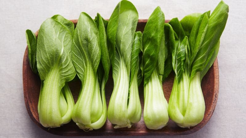 Rau cải thìa xanh mướt, giòn ngọt, dễ chế biến