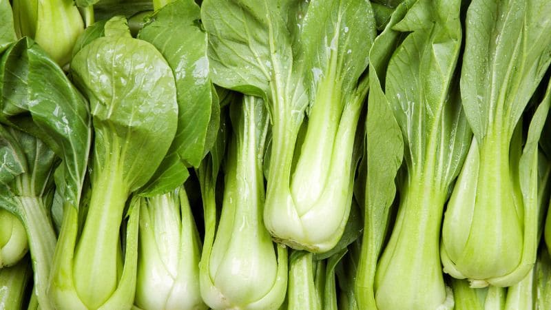 Các món ngon chế biến từ cải thìa nhanh, dễ làm