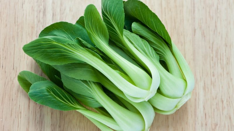 Cải thiện hệ miễn dịch và giúp cơ thể khỏe mạnh hơn