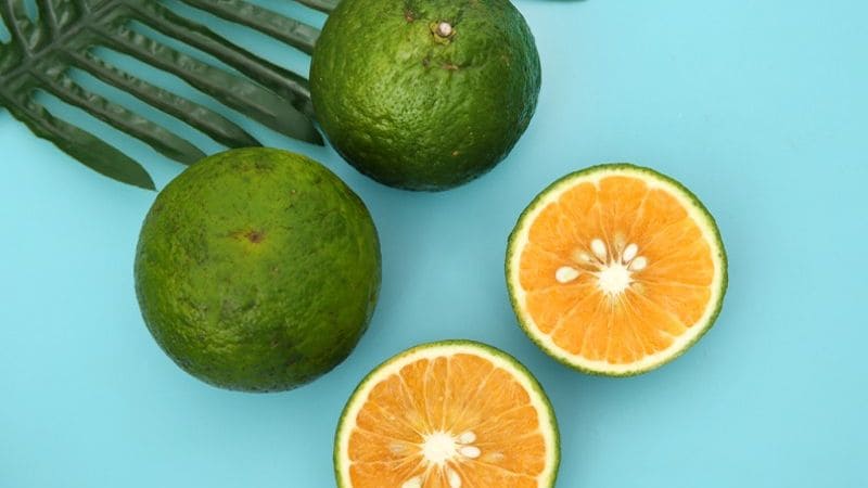 Những thắc mắc phổ biến về cam sành