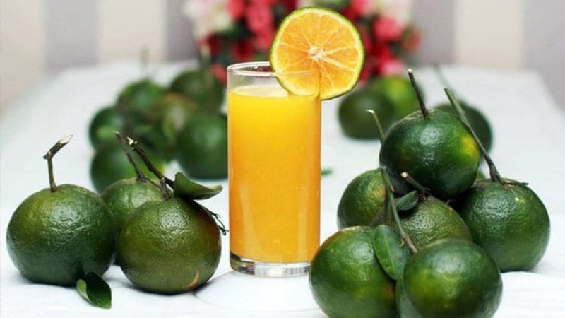 Cam chính vụ thường ngon, ngọt và nhiều nước