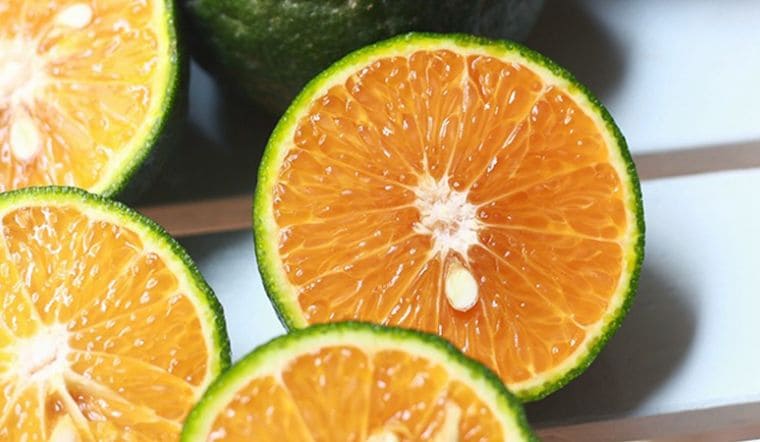 Bí quyết cách chọn cam sành mọng nước, không chua gắt