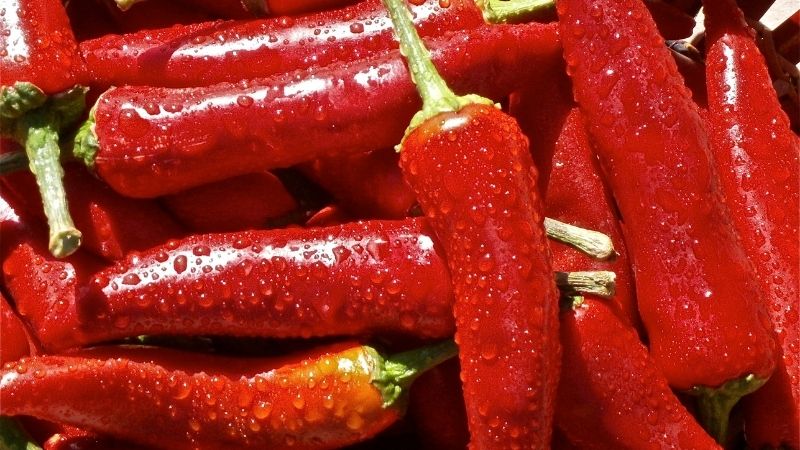 Dự báo và nhận định