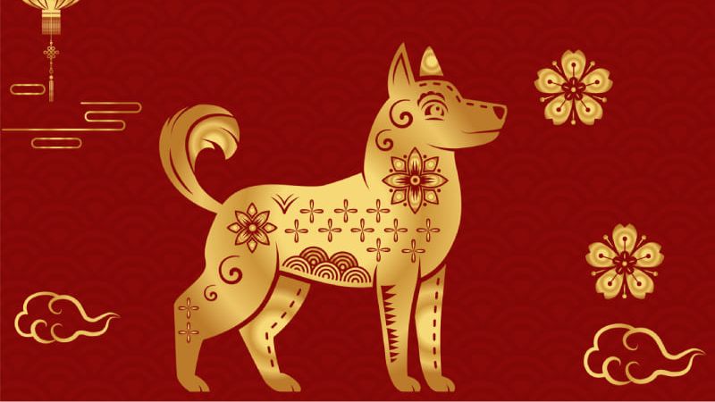 Tuổi Tuất nên tích cực chủ động trong tháng 7