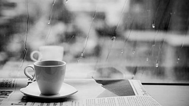 Cafe một mình bên cửa sổ mưa rơi